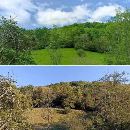 Le Des Trois Ruisseaux Fougaron